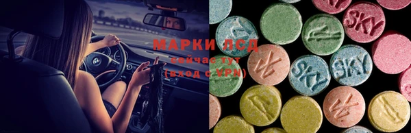 прущие грибы Алексеевка
