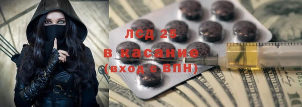 прущие грибы Алексеевка