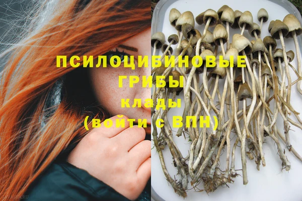 прущие грибы Алексеевка