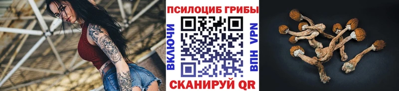 купить   МЕГА зеркало  Псилоцибиновые грибы Magic Shrooms  Арамиль 